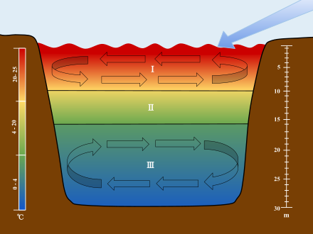 Lake_Stratification_(11).svg.png